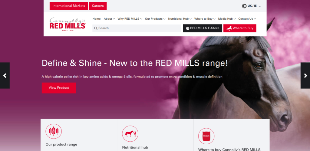 Best Web Designers Ireland